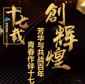 【最佳作品獎】青峰“十七歲花季”綻放歷程——青春作伴十七載，芳華與共戰(zhàn)百年